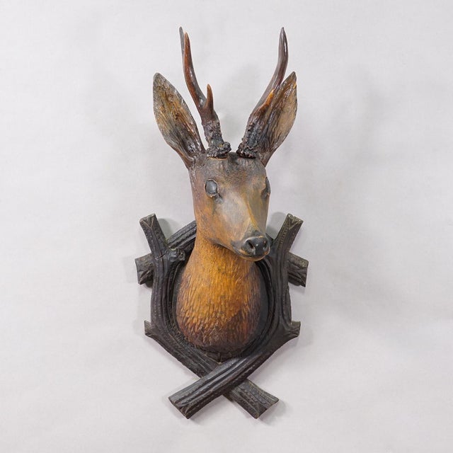 Rustic European Large Naturalistic Black Forest Carved Deer Head, Ca. 1930s For Sale - Image 3 of 8