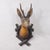 Rustic European Large Naturalistic Black Forest Carved Deer Head, Ca. 1930s For Sale - Image 3 of 8