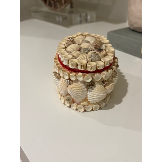 Vintage Palm Beach Style Oval Encrusted Shell Box For Sale In Little Rock - Image 6 of 16
