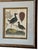 John Pass After J Wilkes Birds Engraving, c.1806 For Sale In Phoenix - Image 6 of 8