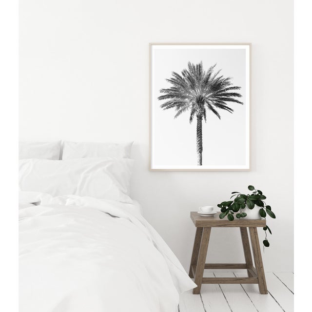 Contemporary Minimalist Black and White 'Palm Tree' Art Print, Large 40 X 60" Fine Art Photography Print, Tropical Coastal Artwork For Sale - Image 4 of 8