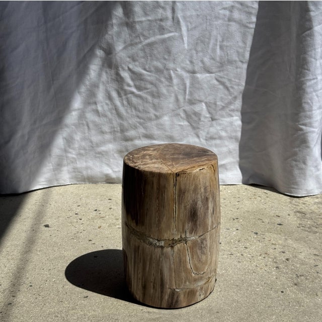 Small Side Table in Beige-Grey and Petrified Wood, 1980s For Sale - Image 6 of 18