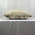 2020s Althea Citron Attributed to Lee Jofa 22” Feather/Down Pillow For Sale - Image 5 of 5