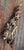 19th Century Chinoiserie Chinese Carved Giltwood Architectural Fragment With Birds and Pomegranates For Sale - Image 16 of 18