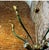 1960s Mid-Century Modern Green Painted Metal and Brass Italian Chandelier For Sale - Image 9 of 9