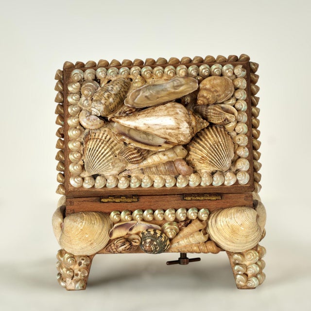 Late 18th Century Antique English Seashell Encrusted Music Box For Sale - Image 5 of 12