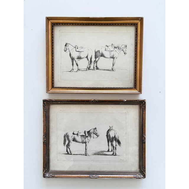 A striking framed set of two original antique horse etchings by Georg Philipp Rugendas the Elder (1666 to 1742). The...