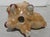 Made in Japan Art Deco Lustre Ware Elephant Ashtray 30s For Sale In New York - Image 6 of 6