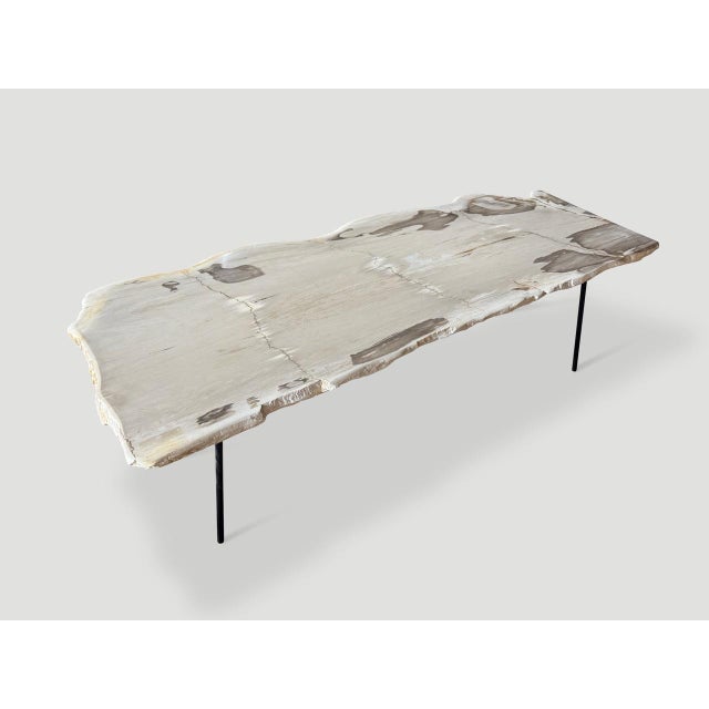 Andrianna Shamaris Minimalist Live Edge Petrified Wood Coffee Table For Sale - Image 12 of 18