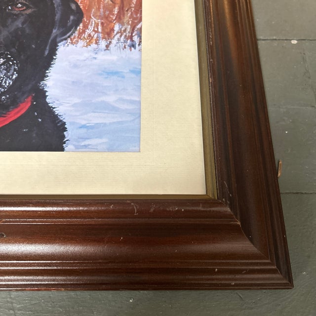 Contemporary Contemporary Snowy Black Labrador Print by Judy Henn For Sale - Image 3 of 4