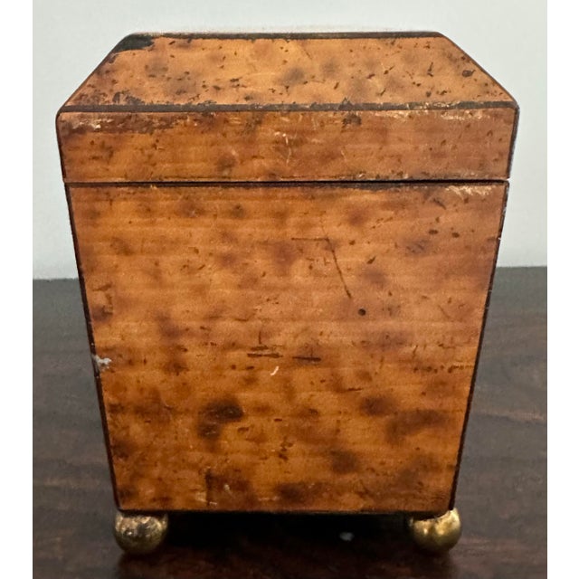 19th Century English Regency Tea Caddy With Faux Tortoise Shell Interior Compartment Top For Sale - Image 9 of 11