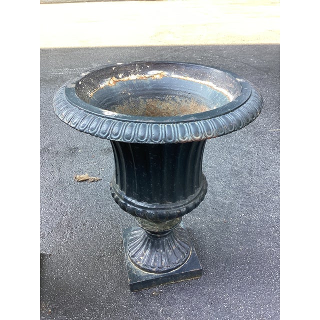 Neoclassical Pair of Vintage Neoclassical Black Cast-Iron Garden Urns For Sale - Image 3 of 4