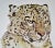 This artwork "leopard" c.1990 is an offset lithograph by noted animals wildlife artist Jacquie Marie Vaux. It is hand...