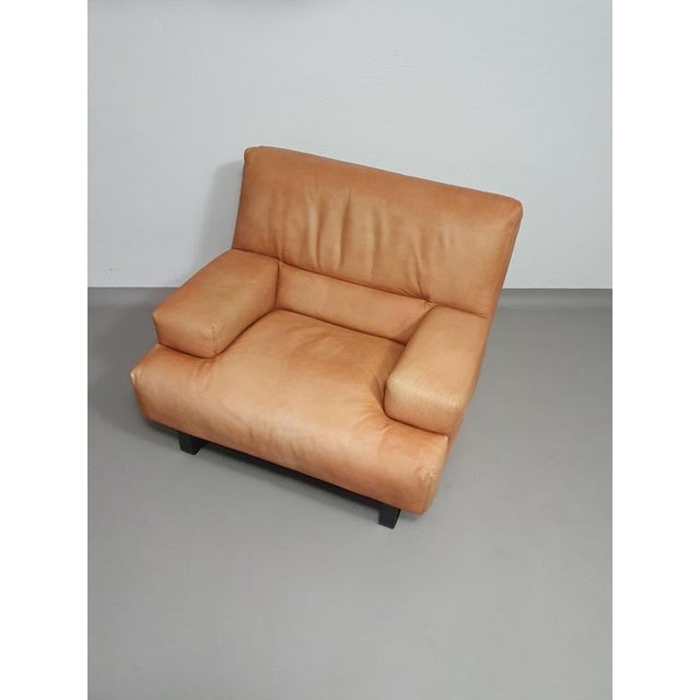 Brown Thick Saddle Leather Love Seats from Machalke, Set of 2 For Sale - Image 8 of 14