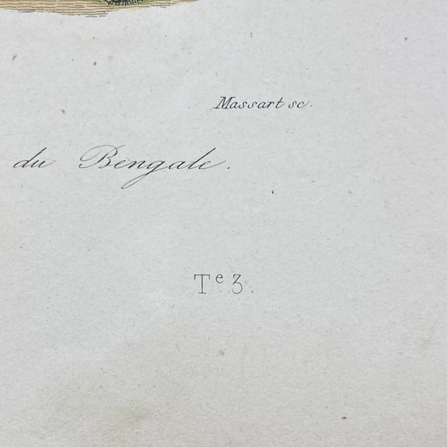 Paper French Antique 18th Century Animal Engraving Hand Colored Signed Artwork For Sale - Image 7 of 8