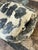 Vintage Scagliola Artisanal Pigmented Plaster Turtle Shell For Sale - Image 4 of 12