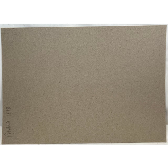 Antique Hand Tinted Bird Print From England Featuring a White-Winged Black Tern - Circa 1888 For Sale - Image 11 of 11