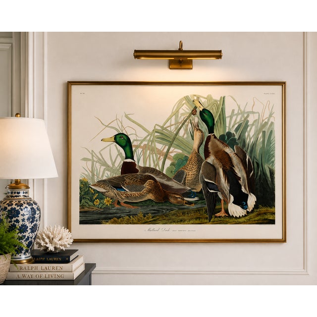 Vintage waterfowl artwork reproduced from Birds of America (1827) by John James Audubon and refined for modern printing....