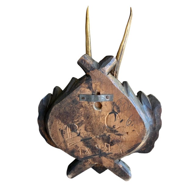 1900 - 1909 Roe Deer Trophy 171 Black Forest Antlers For Sale - Image 5 of 5