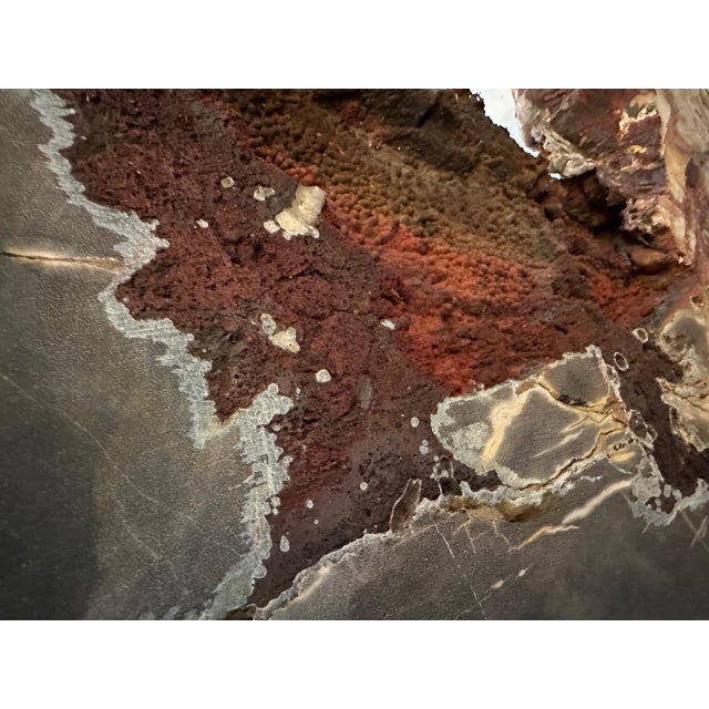 Contemporary Andrianna Shamaris High Quality Petrified Wood Sculpture or Coffee Table For Sale - Image 3 of 18