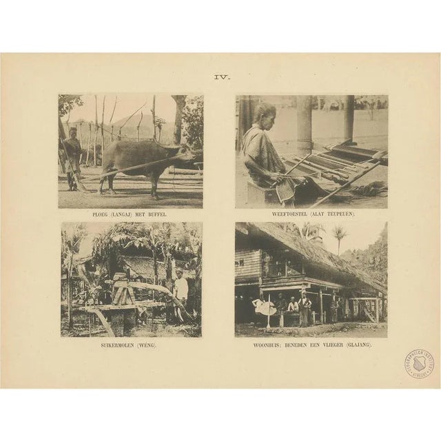 E.J. Brill,Twelve Aceh Atjeh, 1895, Print For Sale - Image 15 of 15