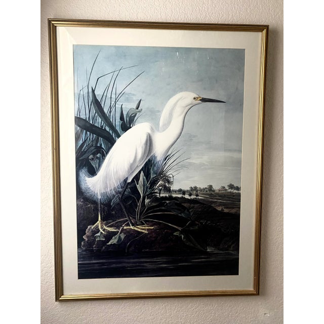 Wood John James Audubon Snowy Heron or White Egret Print Beautifully Matted and Framed Excellent Condition For Sale - Image 7 of 7