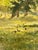 Antique 19th-Century French Impressionist Landscape Oil Painting Sunlit Forest For Sale - Image 17 of 18