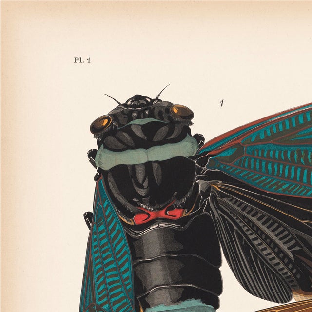 We are thrilled to present the exquisite Séguy Insects #1, available exclusively on Chairish, in the standard 14x18-inch...