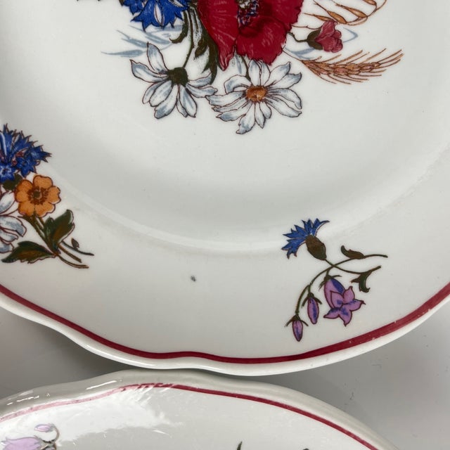 Agreste Dinner Plates from Sarreguemines, 1980s, Set of 6 For Sale - Image 9 of 11
