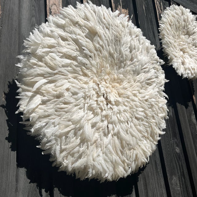 Juju Hats – African Feather Wall Art For Sale - Image 4 of 6