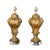 19th Century Italian Carved Giltwood Fragments Made into Lamps on Lucite - a Pair For Sale - Image 4 of 10
