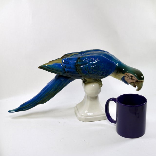 Mid-Century Royal Dux Porcelain Perching Macaw Parrot For Sale - Image 14 of 14