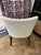 Pair of Bright Chair Maria Arm Chairs in Jane Churchill Darwin Cream With Natural Walnut Legs For Sale - Image 9 of 15