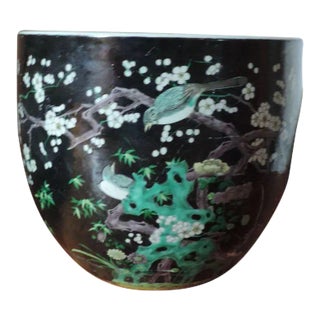 19th Century Chinese Famille Noir Porcelain Fish Bowl Planter For Sale