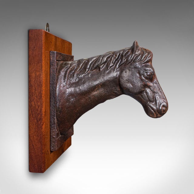 Antique Mounted Horse Bust, English, Iron, Coat Hook, Equestrian Tack, Edwardian For Sale - Image 4 of 10