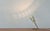 1960s Mid-Century Modern Sarfatti Style Table Lamp, 1960s For Sale - Image 5 of 18