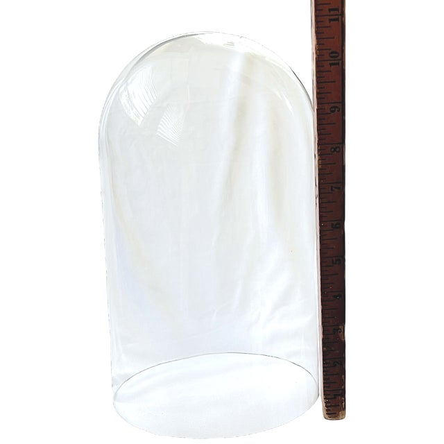 Large Clear Glass Display Cloche Bell Jar for Specimens, Candles & Decorative Objects, 11" For Sale - Image 4 of 4