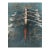 Early 20th Century Eight Man Scull Rowing Team Colortone Photograph For Sale
