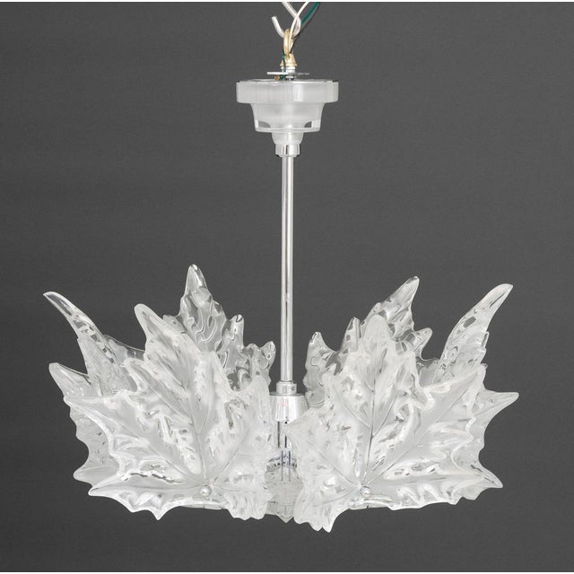Contemporary Lalique Champs-Elysees Chandelier For Sale - Image 3 of 16