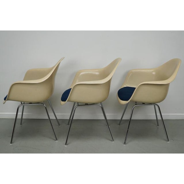 Vintage Parchment Fiberglass Dax Armhairs by Charles & Ray Eames, Set of 3 For Sale - Image 13 of 18