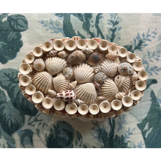 Vintage Palm Beach Style Oval Encrusted Shell Box For Sale - Image 15 of 16