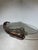 Sculptural Mermaid Coffee Table For Sale - Image 4 of 5