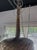 Discontinued Palecek Wicker Pendant Light For Sale - Image 4 of 5