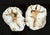 Large Natural Split Pair Crystal Quartz Geode #1 For Sale - Image 12 of 12