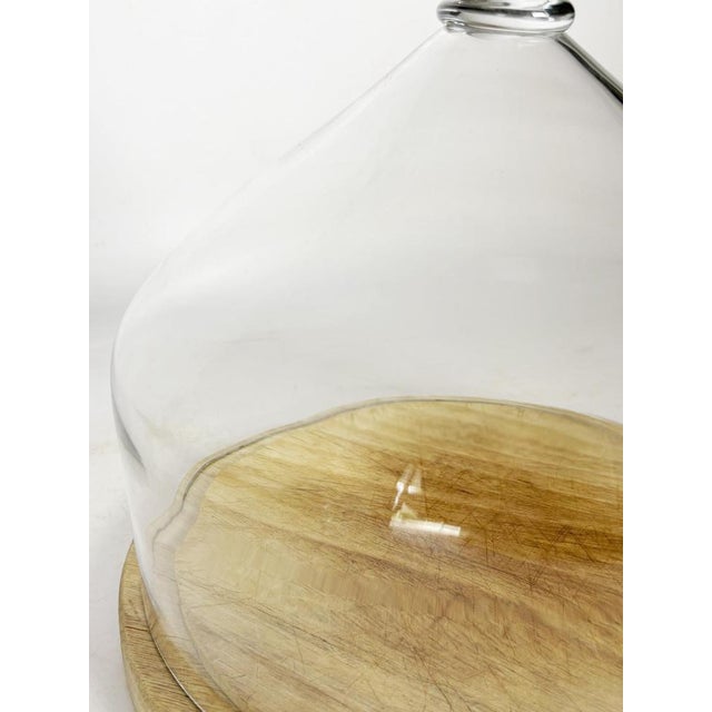 Glass and Wood Cake Dome, France, 1960s For Sale - Image 9 of 11