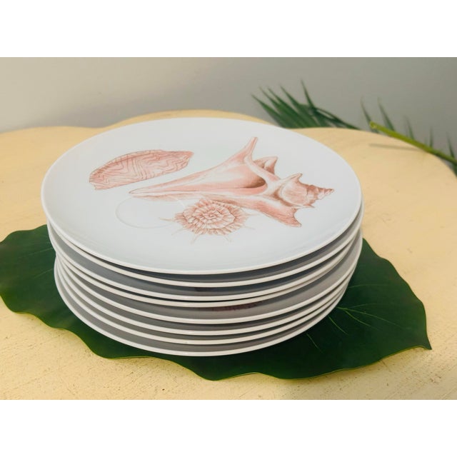 Nautical 1970s Fitz and Floyd Coquille Seashell Design Dinnerware - Set of 8 For Sale - Image 3 of 10