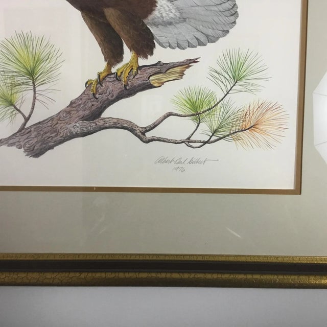 American American Bald Eagle by Albert Earl Gilbert For Sale - Image 3 of 8