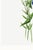 Fringed Gentian, Vintage Botanical Art Print Reproduction by Mary Vaux Walcott, 32" X 48" For Sale - Image 9 of 9