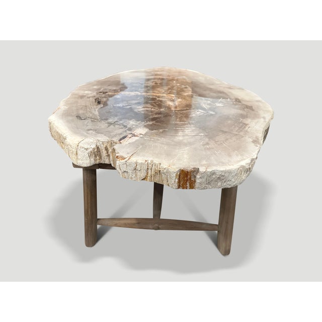 2010s Andrianna Shamaris Minimalist Slab Petrified Wood Coffee Table For Sale - Image 5 of 5