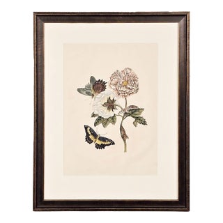 China Trade Painting of Flowers & Butterflies, Circa 1880 For Sale